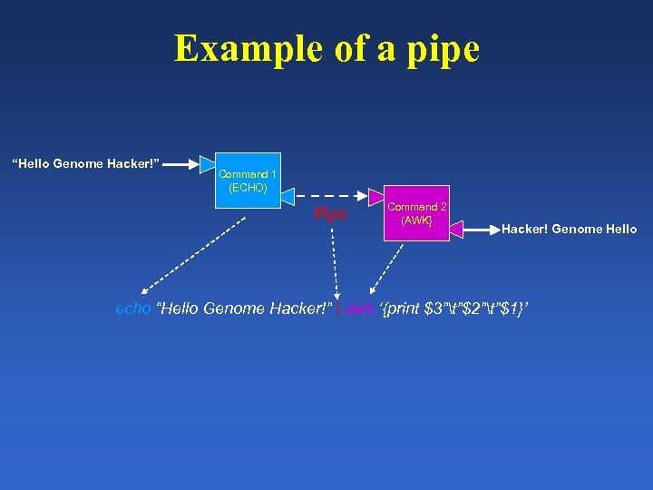 Example of a pipe “Hello Genome Hacker!” Command 1 (ECHO) Pipe Command 2 (AWK}