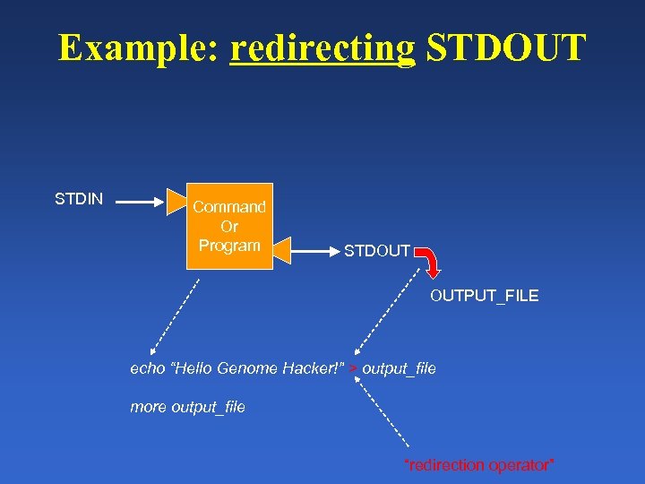 Example: redirecting STDOUT STDIN Command Or Program STDOUT OUTPUT_FILE echo “Hello Genome Hacker!” >