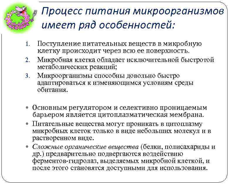 Процесс питания микроорганизмов имеет ряд особенностей: Поступление питательных веществ в микробную клетку происходит через