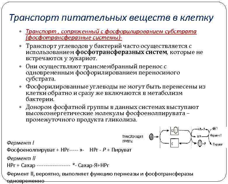 Транспорт питательных веществ в клетку Транспорт , сопряженный с фосфорилированием cубстрата (фосфотрансферазные системы)- Транспорт