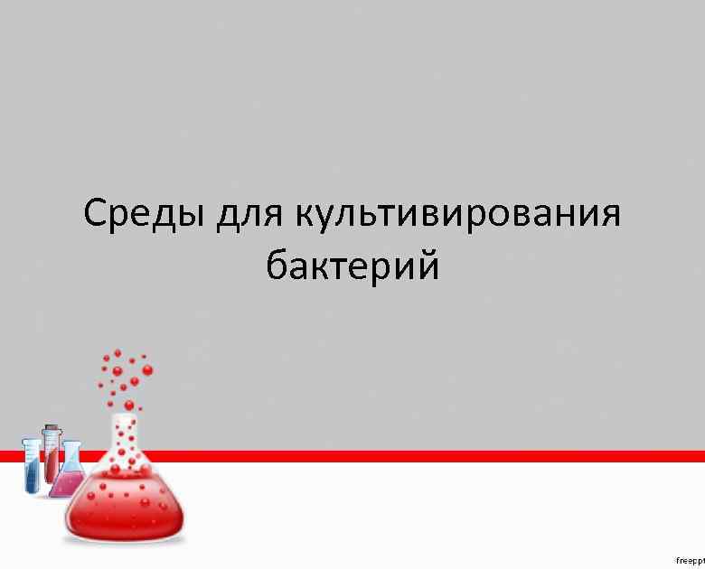 Среды для культивирования бактерий 