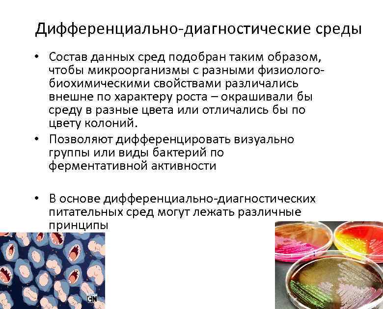 Дифференциально-диагностические среды • Состав данных сред подобран таким образом, чтобы микроорганизмы с разными физиологобиохимическими