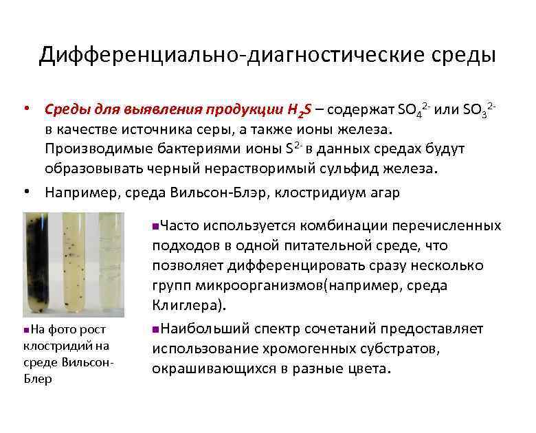 Дифференциально-диагностические среды • Среды для выявления продукции H 2 S – содержат SO 42