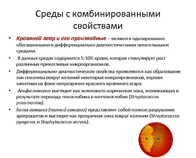 Среды с комбинированными свойствами • Кровяной агар и его производные – являются одновременно •