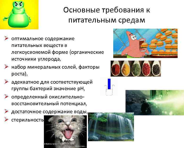 Основные требования к питательным средам Ø оптимальное содержание питательных веществ в легкоусвояемой форме (органические