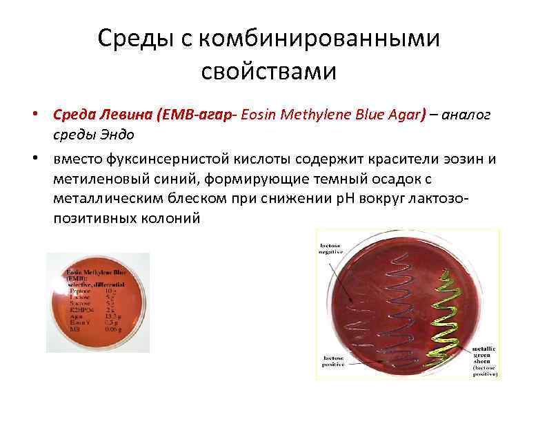 Среда левина грм