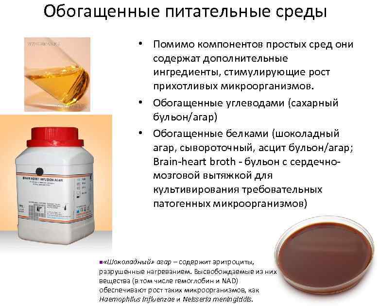 Обогащенные питательные среды • Помимо компонентов простых сред они содержат дополнительные ингредиенты, стимулирующие рост