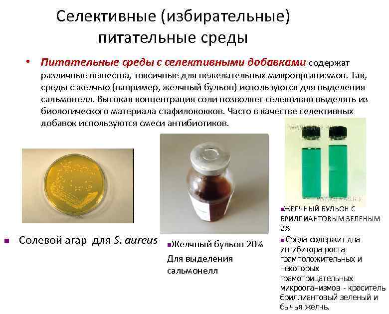 Схемы посева различного материала на питательные среды