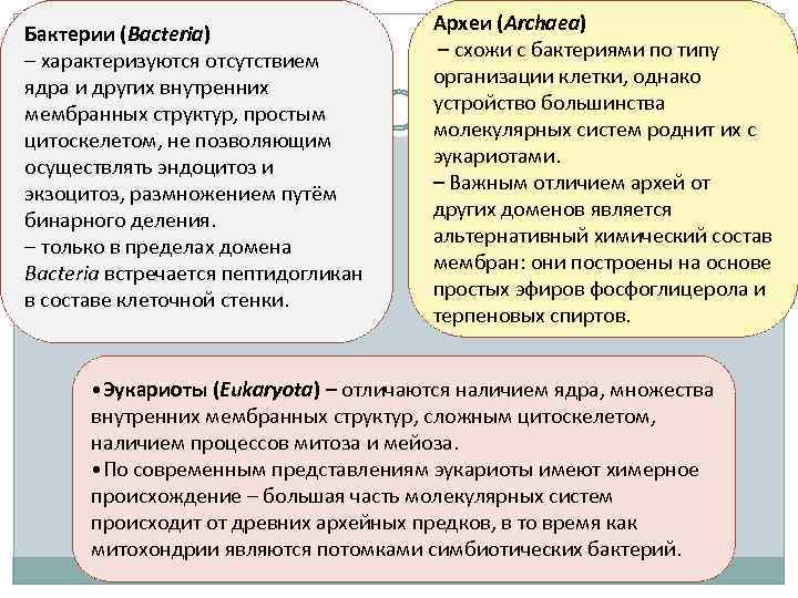 Бактерии (Bacteria) – характеризуются отсутствием ядра и других внутренних мембранных структур, простым цитоскелетом, не