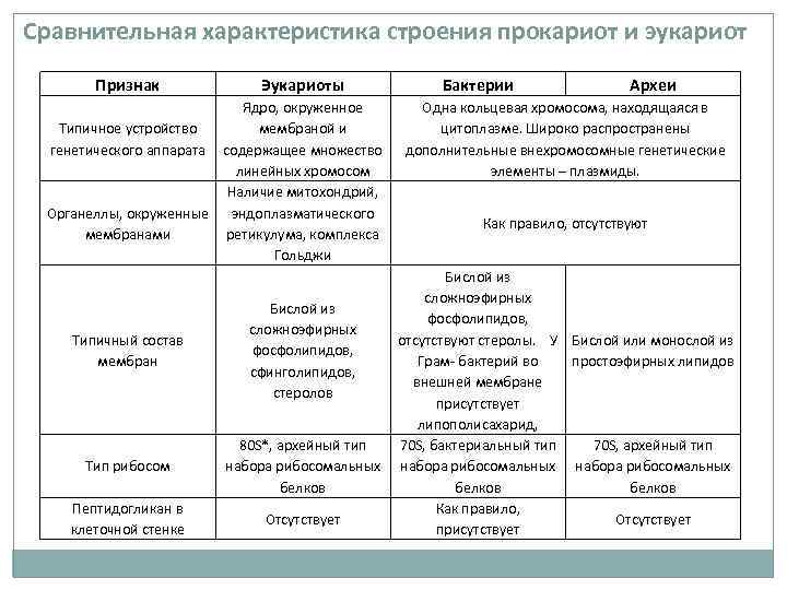 Сравнительная характеристика строения прокариот и эукариот Признак Эукариоты Ядро, окруженное Типичное устройство мембраной и