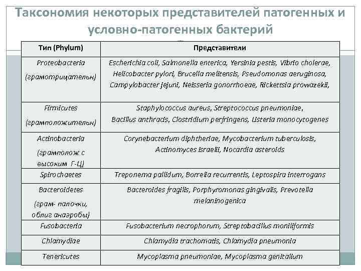 Таксономия некоторых представителей патогенных и условно-патогенных бактерий Тип (Phylum) Представители Proteobacteria Escherichia coli, Salmonella