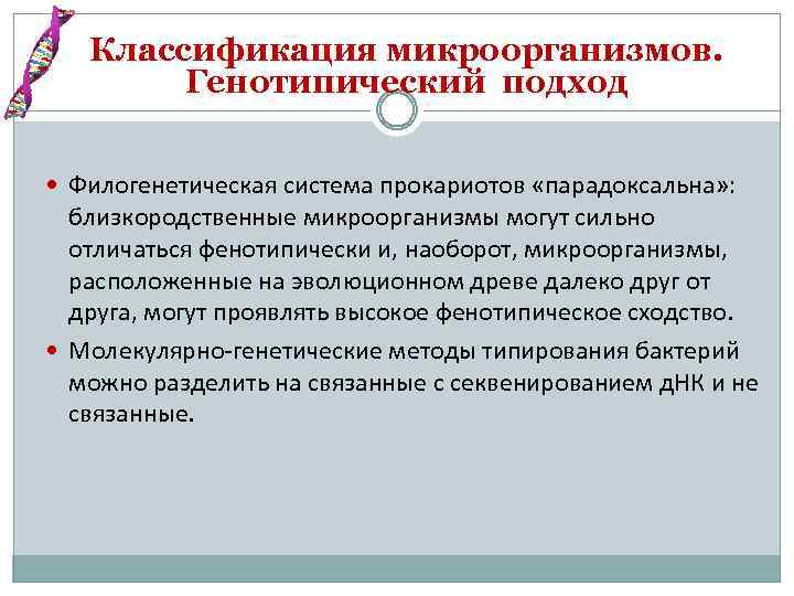 Классификация микроорганизмов. Генотипический подход Филогенетическая система прокариотов «парадоксальна» : близкородственные микроорганизмы могут сильно отличаться