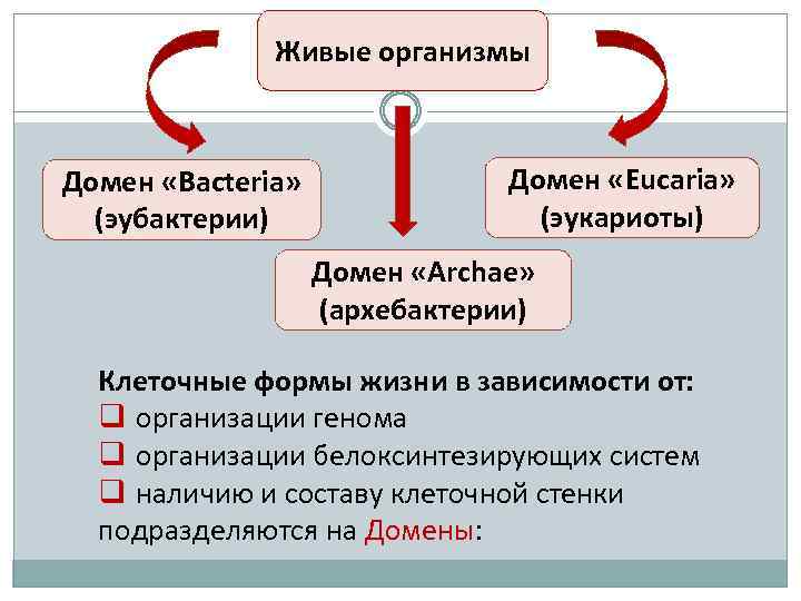 Живые организмы Домен «Bacteria» (эубактерии) Домен «Eucaria» (эукариоты) Домен «Archae» (архебактерии) Клеточные формы жизни