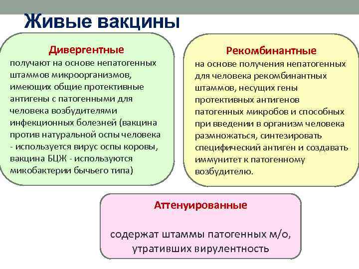 Живые вакцины Дивергентные получают на основе непатогенных штаммов микроорганизмов, имеющих общие протективные антигены с