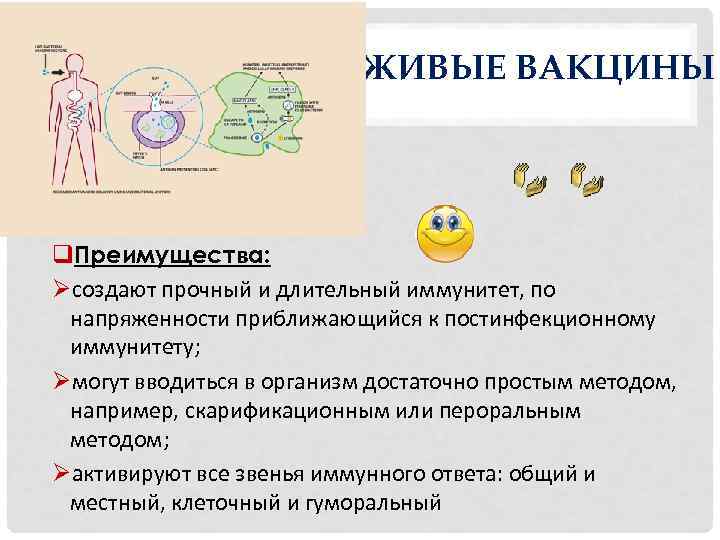 Живые вакцины подлежат хранению тест