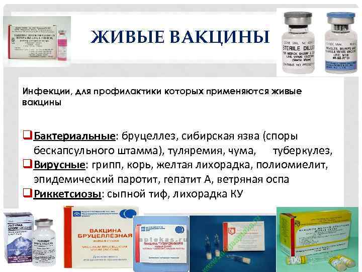 ЖИВЫЕ ВАКЦИНЫ Инфекции, для профилактики которых применяются живые вакцины q. Бактериальные: бруцеллез, сибирская язва