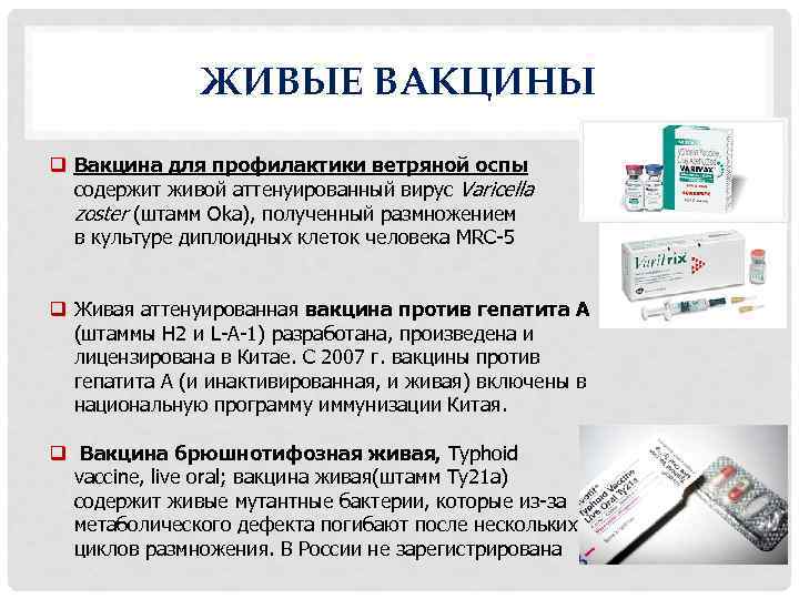 Живые вакцины подлежат хранению тест