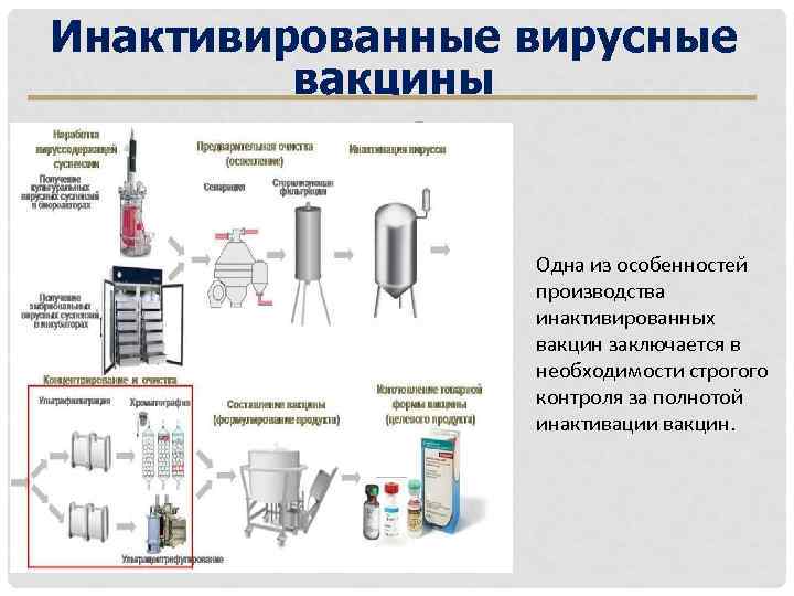 Инактивированные вирусные вакцины Одна из особенностей производства инактивированных вакцин заключается в необходимости строгого контроля