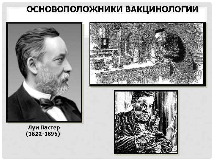 ОСНОВОПОЛОЖНИКИ ВАКЦИНОЛОГИИ Луи Пастер (1822 -1895) 