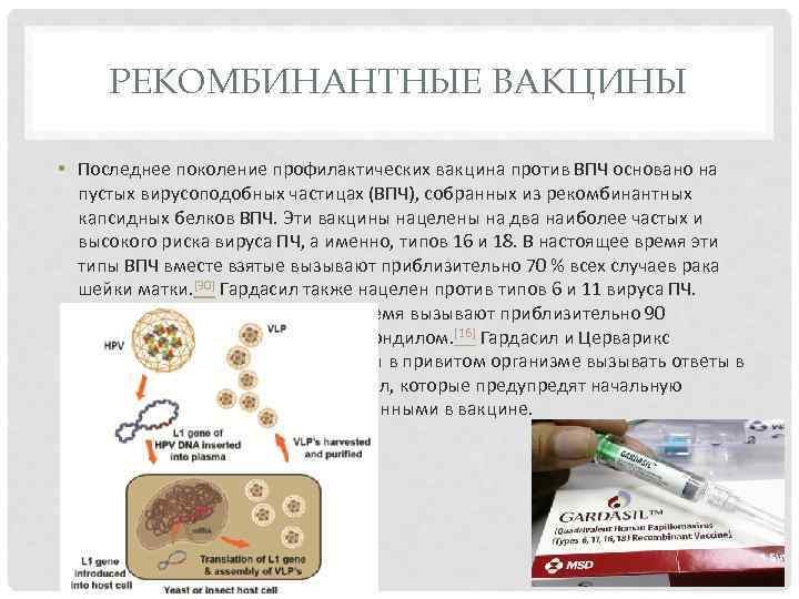 РЕКОМБИНАНТНЫЕ ВАКЦИНЫ • Последнее поколение профилактических вакцина против ВПЧ основано на пустых вирусоподобных частицах