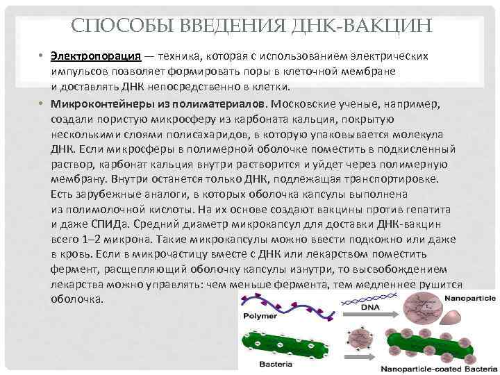 СПОСОБЫ ВВЕДЕНИЯ ДНК-ВАКЦИН • Электропорация — техника, которая с использованием электрических импульсов позволяет формировать