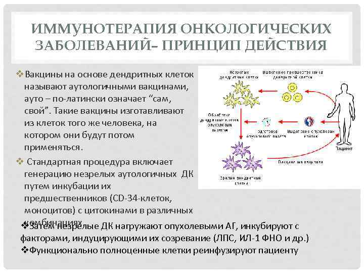 ИММУНОТЕРАПИЯ ОНКОЛОГИЧЕСКИХ ЗАБОЛЕВАНИЙ– ПРИНЦИП ДЕЙСТВИЯ v. Вакцины на основе дендритных клеток называют аутологичными вакцинами,