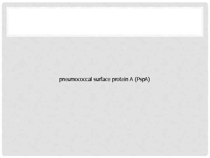 pneumococcal surface protein A (Psp. A) 