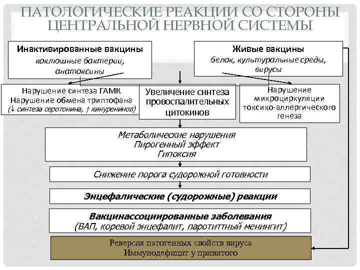 ПАТОЛОГИЧЕСКИЕ РЕАКЦИИ СО СТОРОНЫ ЦЕНТРАЛЬНОЙ НЕРВНОЙ СИСТЕМЫ Инактивированные вакцины коклюшные бактерии, анатоксины Живые вакцины