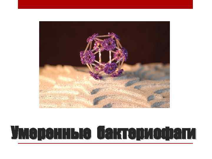 Умеренные бактериофаги 