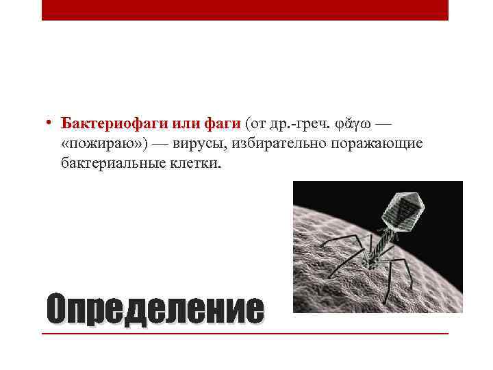  • Бактериофаги или фаги (от др. -греч. φᾰγω — «пожираю» ) — вирусы,