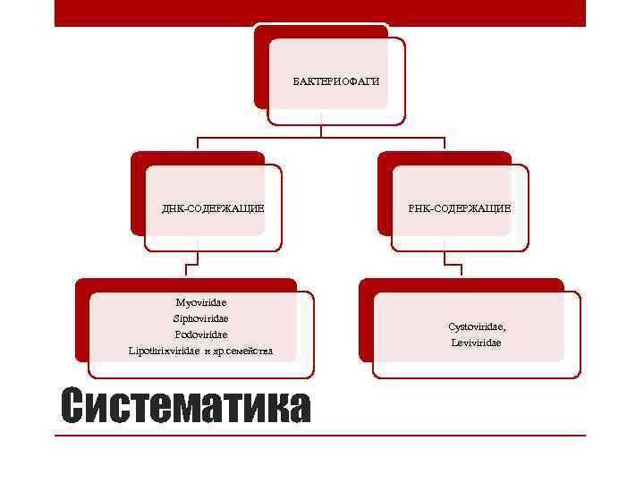 БАКТЕРИОФАГИ ДНК-СОДЕРЖАЩИЕ РНК-СОДЕРЖАЩИЕ Myoviridae Siphoviridae Podoviridae Lipothrixviridae и др. семейства Систематика Cystoviridae, Leviviridae 