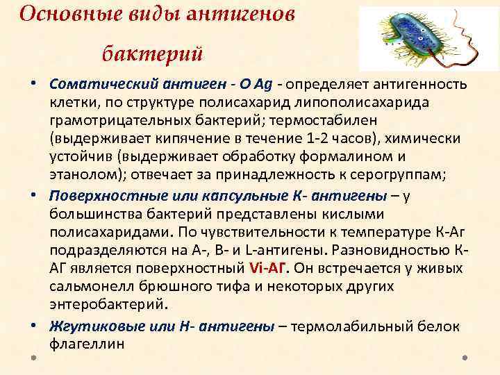 Основные виды антигенов бактерий • Соматический антиген - O Ag - определяет антигенность клетки,