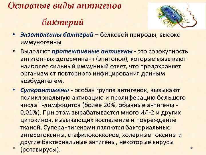 Основные виды антигенов бактерий • Экзотоксины бактерий – белковой природы, высоко иммуногенны • Выделяют