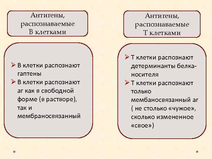 Антигены, распознаваемые В клетками Антигены, распознаваемые Т клетками Ø В клетки распознают гаптены Ø