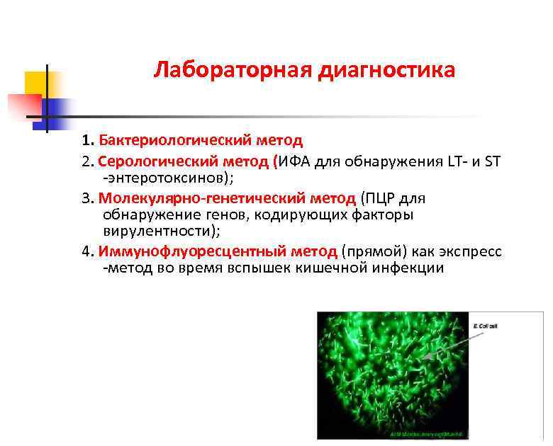 Лабораторная диагностика 1. Бактериологический метод 2. Серологический метод (ИФА для обнаружения LT- и ST