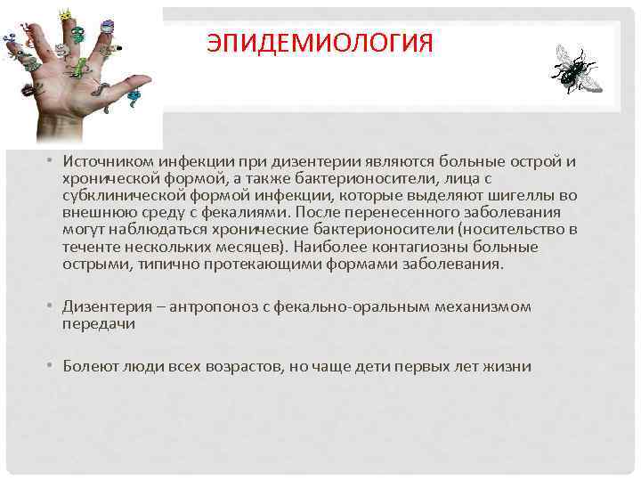 ЭПИДЕМИОЛОГИЯ • Источником инфекции при дизентерии являются больные острой и хронической формой, а также