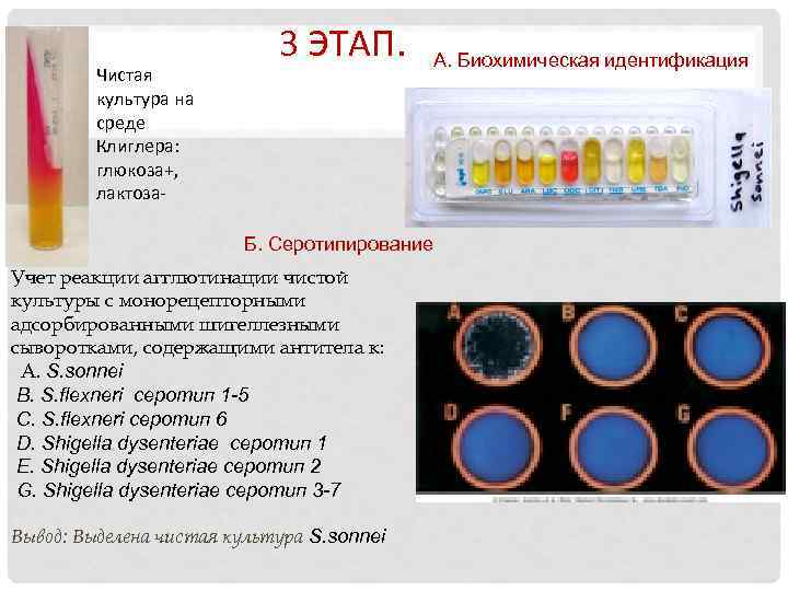 Биохимическая среда