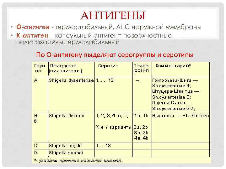 АНТИГЕНЫ • О-антиген - термостабильный, ЛПС наружной мембраны • К-антиген – капсульный антиген= поверхностные