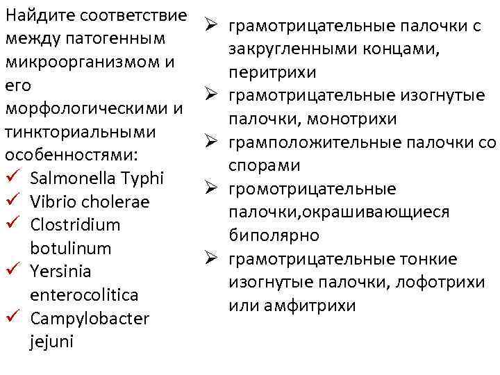 Найдите соответствие между патогенным микроорганизмом и его морфологическими и тинкториальными особенностями: ü Salmonella Typhi