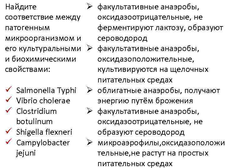 Найдите Ø факультативные анаэробы, соответствие между оксидазоотрицательные, не патогенным ферментируют лактозу, образуют микроорганизмом и