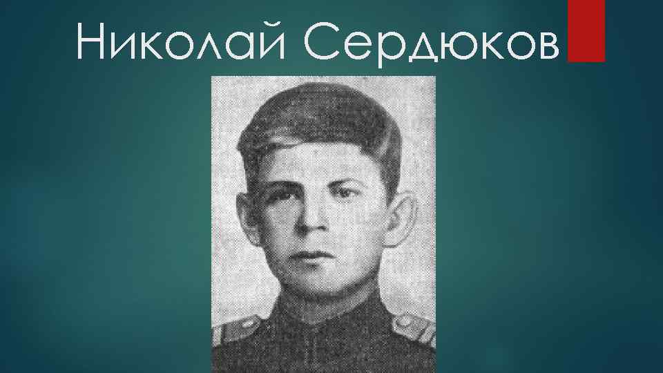 Николай Сердюков 