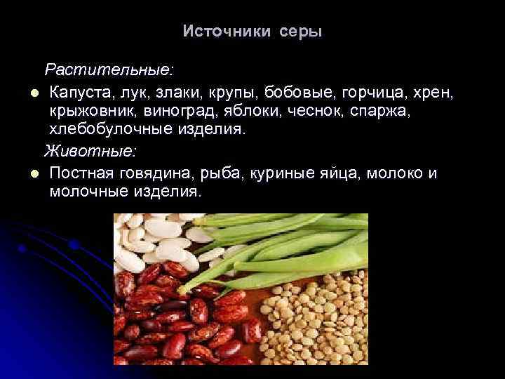 Источники серы Растительные: l Капуста, лук, злаки, крупы, бобовые, горчица, хрен, крыжовник, виноград, яблоки,
