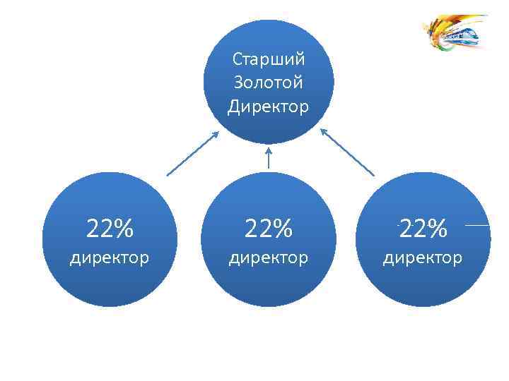 Старший Золотой Директор 22% директор 