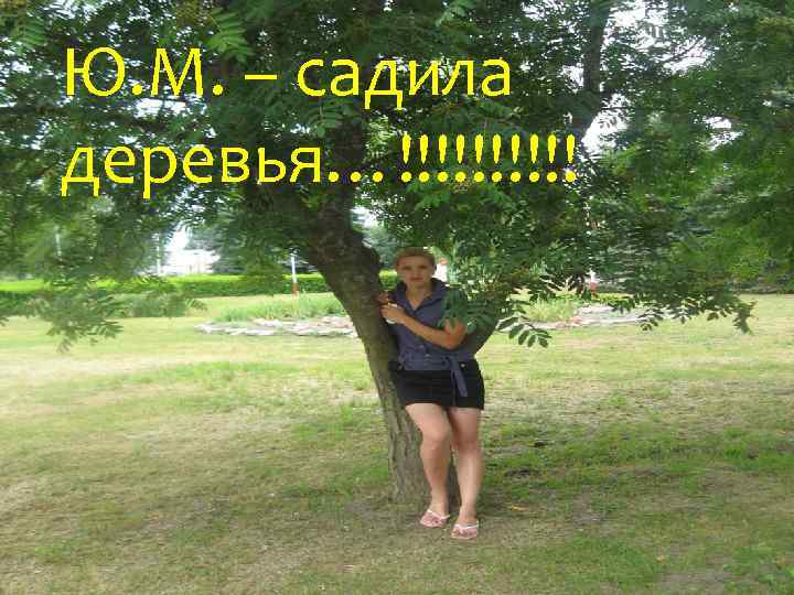 Ю. М. – садила деревья…!!!!! 