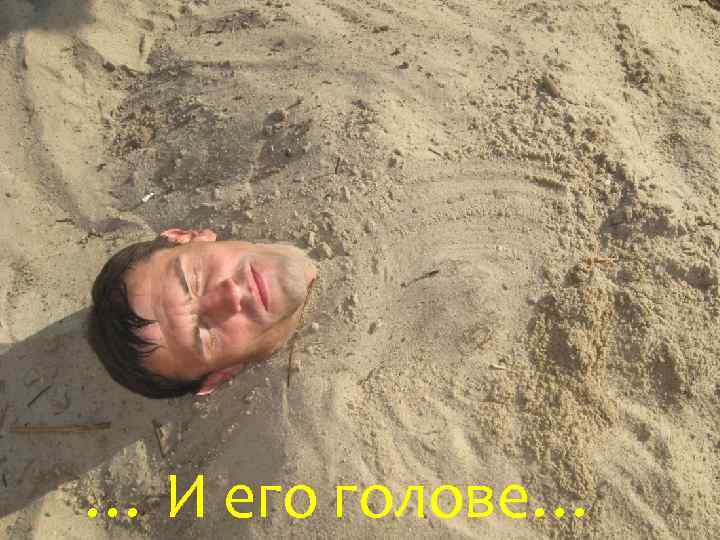 … И его голове… 