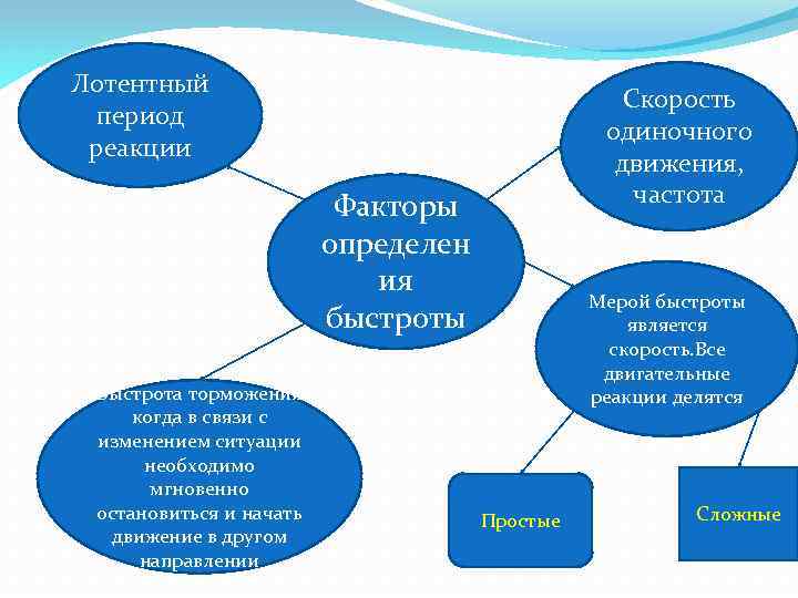 Лотентный период реакции Скорость одиночного движения, частота Факторы определен ия быстроты Быстрота торможения когда
