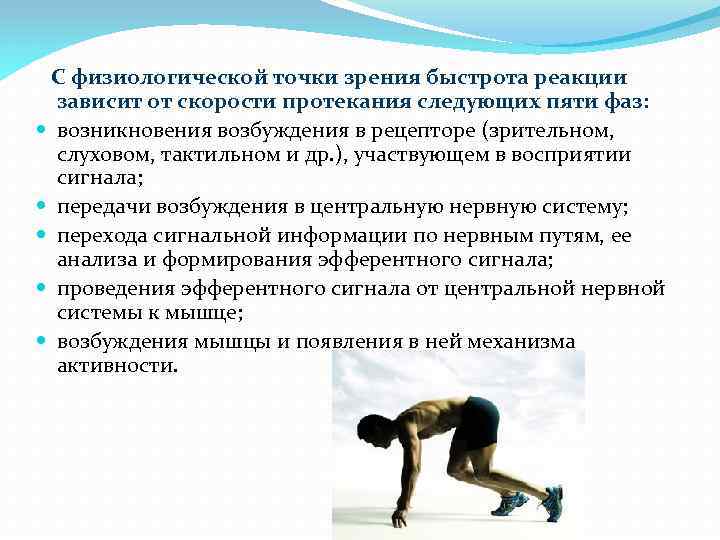 С физиологической точки зрения быстрота реакции зависит от скорости протекания следующих пяти фаз: возникновения