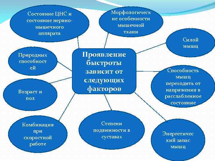 Состояние ЦНС и состояние нервно мышечного аппврата Природных способност ей Возраст и пол Комбинация