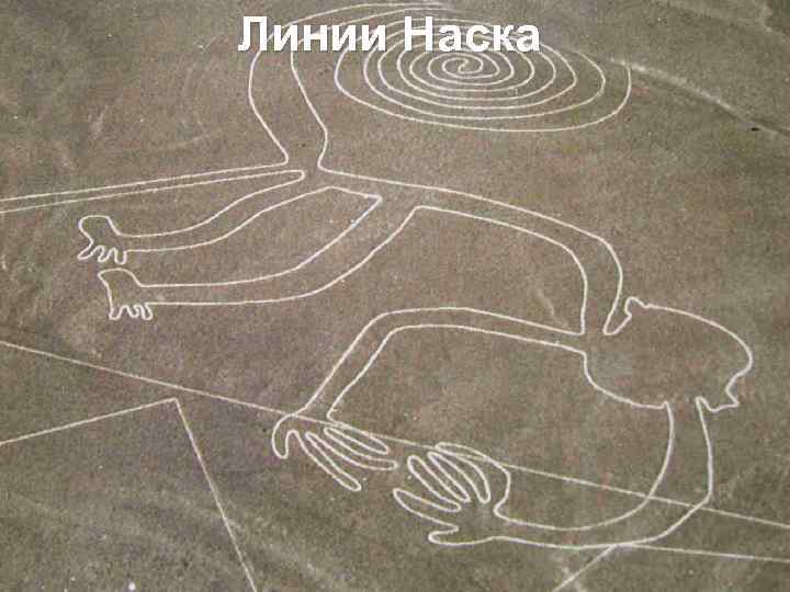 Линии Наска 