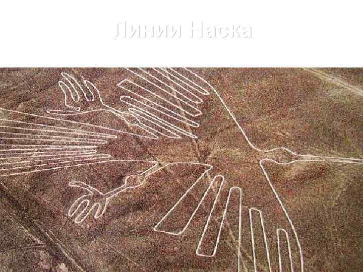 Линии Наска 